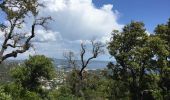 Tocht Stappen Cavalaire-sur-Mer - Cavalaire 2  - Photo 4