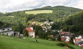 Randonnée A pied Gemeinde Bernstein - Speckkammerl Rundwanderweg (Bernstein - Stuben) - Photo 4