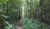 Tocht Stappen Pepingen - Heikruis 20 km - Photo 10