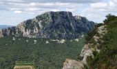 Trail Walking Rouet - les falaises de l'hortus - Photo 5
