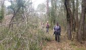 Trail Walking Callian - Callian ,le vallon de la Camiole - Photo 8