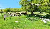 Randonnée Marche Omblèze - Refuge d' Ambel - Photo 7