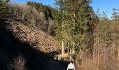 Trail Walking Waimes - Robertville Barrage-Reinhardstein-Bayehon-Xhoffraix-Walk-Robertville - Photo 12