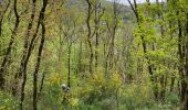 Tour Wandern Olne - Drèves Patureau chemin des meuniers - Photo 3