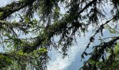 Tocht Stappen Les Houches - Chamonix :  l'aiguillette des Houches - Photo 4