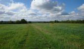 Randonnée Marche Fondettes - Fondettes - Sentier Aubrière-Gâtine - 9.6km 110m 2h00 - 2019 05 05 - Photo 4