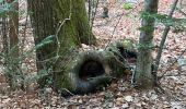 Excursión Senderismo Plan-d'Aups-Sainte-Baume - Les béguines ste beaume Martine - Photo 6