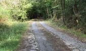 Percorso Marcia Blain - 13.08.2019 - Autour de ST OMER DE BLAIN - Photo 8
