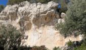 Randonnée Marche Sanary-sur-Mer - Le Gros Cerveau par la Roche Crurade - Photo 1