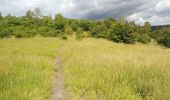 Randonnée Marche Chaudfontaine - bois des dames  - Photo 2