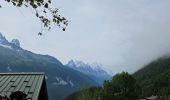 Tocht Stappen Chamonix-Mont-Blanc - J11 - R9 - Montroc - Le Tour - Petit Balcon Nord  - Photo 3