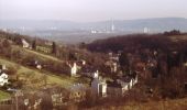 Excursión A pie Gemeinde Klosterneuburg - Kritzendorf-Hadersfeld über Hoheneggersteig - Photo 6