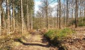 Randonnée Marche Gedinne - Balade de Vencimont à Sart-Custine - Photo 8