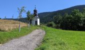 Trail On foot Rokytnice nad Jizerou - NS Krakonoš a lyžníci - Photo 8