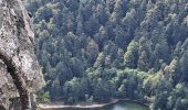 Excursión Senderismo Le Valtin - VOSGES 2023 - Sentier des Roches - Photo 20