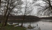 Tour Zu Fuß Bestensee - Rundweg um den Pätzer Vorder- und Hintersee - Photo 5