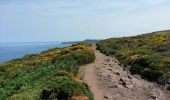 Tour Wandern Plévenon - Cap Fréhel - 2017 06 22 - Photo 7