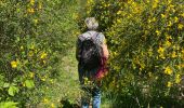 Tocht Stappen Gedinne -  Vallée De la Hulle Bourseigne la neuve - Photo 6