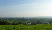 Trail On foot Aubel - Balade de la Bel - Photo 10