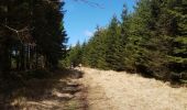 Trail Walking Stavelot - Stavelot  - FFBMP - Photo 6