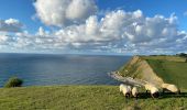 Randonnée Marche Getaria - Zumaia - Photo 1