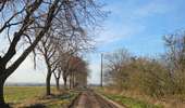 Trail Walking Les Bons Villers - Mellet - Saint-Amand - Photo 1