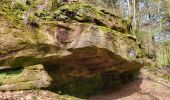 Randonnée Marche Lemberg - Lemberg - cascade des Ondines - sentiers des grottes et des étangs - Photo 13