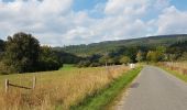 Tour Wandern Stoumont - La Gleize - Coo - La Venne - Photo 4