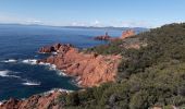 Trail Walking Saint-Raphaël - Tour Grand Défends  du Dramont par les Ferrières - Photo 3