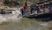 Tocht Stappen Aubignosc - Boucle des Canayons depart Aubignosc  390 + - Photo 2