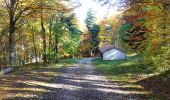 Tour Wandern Saou - La Grande Combe en Forêt de Saoû - Photo 8