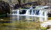 Tocht Stappen Tourves - SityTrail - Tourves- Le Saut du Cabri - Les gorges du Caramy - Photo 6