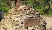 Tour Wandern Saint-Michel-de-Llotes - st Michel de Llotes + dolmens - Photo 1