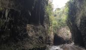 Excursión Senderismo Entre-Deux - L'entre deux l'arche naturelle  - Photo 12