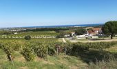 Randonnée Marche Argelès-sur-Mer - valmy  le Racou - Photo 1