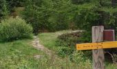 Trail Walking Belvédère - randonnée du Mercantour le 09 juin 2023 - Photo 2