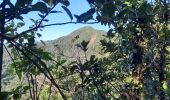 Tour Wandern Le Lorrain - Boucle Morne Jacob - Photo 7