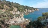 Excursión Senderismo Hyères - La Madrague - Tour Ouest - Photo 2