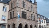 Tour Wandern Echternach - mullerthal rando E1 . echternach . berdorf . echtrnach . via gorge du loup - Photo 3