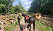 Trail Horseback riding Celles-sur-Plaine - randonnée Celles-sur-Plaine direction Cirey-sur-Vezouze  - Photo 9
