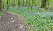 Percorso Marcia Thuin - Aulne dans les bois - Photo 8