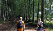 Tour Wandern Vielsalm - Bihain - Photo 18