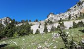 Tour Wandern Châtillon-en-Diois - Croix du lautaret - Pas du Gris - Montagnette - Photo 5