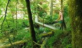 Percorso Marcia Engins - Les gorges du Bruyant - Photo 2
