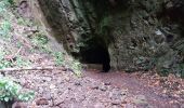 Excursión Senderismo São Vicente - Levada da Faja do Rodrigues (Rother n°32) - Photo 15