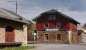 Percorso A piedi Spiegelau - Hauptwanderweg (Nationalpark Bayerischer Wald) - Photo 3