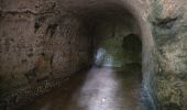 Excursión Senderismo Avon-les-Roches - Avon-les-Roches - Lavoirs et Collégiale des Roches Tranchelion - Photo 9