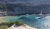 Tour Wandern Bonifacio - plages des calanques et phare - Photo 12