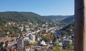 Tocht Stappen Schramberg - Schramberg - Châteaux de Falkenstein et de Hohenschramberg - Photo 4