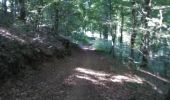 Tocht Mountainbike Virton - Lahage II - Balade_VTT_33Kms - Photo 17